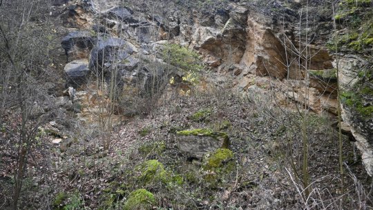 Místo nálezu jeskyně dnes, po 95ti letech, zasypání jeskyně je stále mírně patrné

